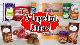 The BEST 3Ingredient Recipes  QUICK amp EASY DINNER IDEAS  Fast Tasty Simple Meals  Julia Pacheco [upl. by Kevon]