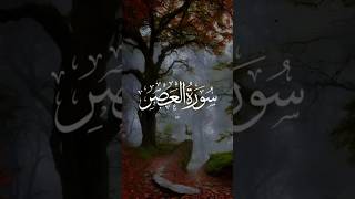 সূরাতুল আস surah ashor video qurantilawat [upl. by Lareena932]