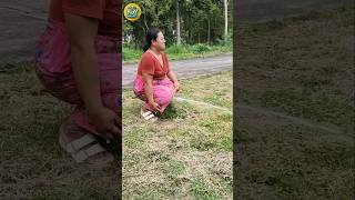 FUNNY Shorts Funny Video Hilarious fails memes tiktok [upl. by Akived]