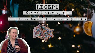 Recept Luxe kerstkoekjes voor in de boom  bonus recept 🍊🎄 [upl. by Ayor110]