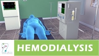 Hemodialysis [upl. by Gally]