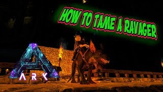 ARK Aberration  HOW TO TAME A RAVAGER [upl. by Kale]