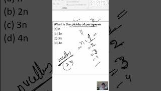 What is the ploidy of perisperm a n b 2n c 3n d 4n [upl. by Lipsey147]