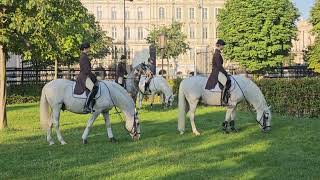 Die Lipizzaner im Burggarten [upl. by Donela454]