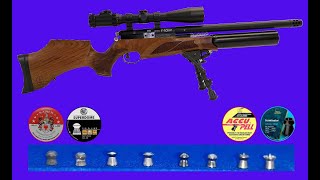 The BSA R10 SE 22  Part One Subscriber tbf1994 pellet selection [upl. by Anivram548]