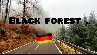 Black forest 🌳🎄🎄🎄🌲🌲🌲🌳🌳Germany 🇩🇪🇩🇪🇩🇪badenwürttemberg travelgermany [upl. by Siuluj]