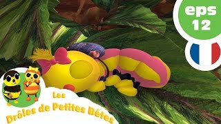 DRÔLES DE PETITES BÊTES  EP12  La colère de la Reine [upl. by Hermon]