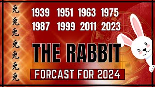 Chinese Rabbit Forecast For 2024  quotWhat Does 2024 Have In Store For Youquot [upl. by Akyre]