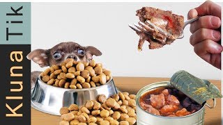 EATING ANIMAL FOOD COMPILATION  KLUNATIK COMPILATION ASMR eating sounds no talk [upl. by Cantu]