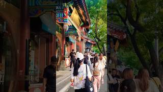 HuTong in Beijing china 🇨🇳 china travel fyp chinatravel [upl. by Lull]