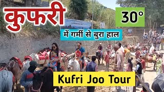 kufri tourist places kufri latest vlog shimla to kufri by road best hills station near shimla [upl. by Kudva]