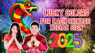 Lucky Colors For Each Chinese Zodiac Sign in 2025  Ziggy Natural [upl. by Nodnart]