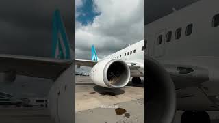 Airhostess the airport 😊 shortvideo trending [upl. by Dnalra]