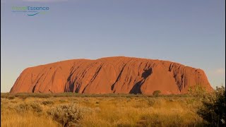 Waarom naar Australië [upl. by Coraline235]