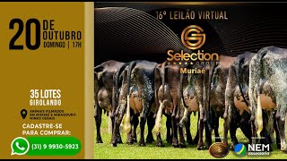 ✅ 16° LEILÃO VIRTUAL SELECTION MURIAÉ 2010 às 1800 [upl. by Naud]