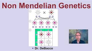 Non Mendelian Genetics [upl. by Sorkin785]