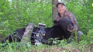 Huge  Manitoba Black Bear Bow hunt during a spring archery black bear hunt [upl. by Clarhe965]