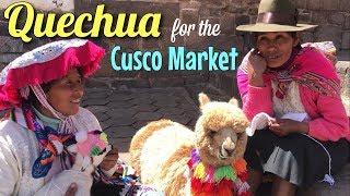 Quechua Lesson  The Cusco Market of Peru [upl. by Micheal]