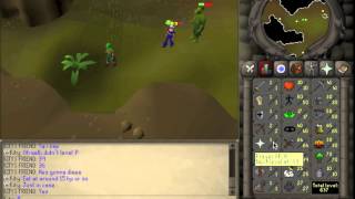 07 RS Kity level 3 skiller gets Karamja Gloves [upl. by Hime]