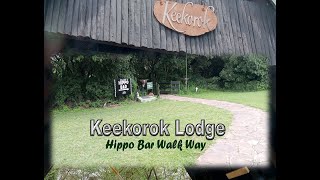 KEEKOROK LODGE HIPPO BAR WALK WAY [upl. by Raddatz]