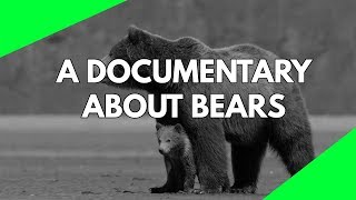 Wildlife Documentary A full length documentary about the life of Bears HD [upl. by Atikihc]