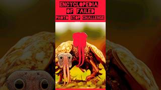 HYBRID ANIMAL \ ENCYCLOPAEDIA OF FAILED \ HD PHOTO STOP CHALLENGE trending viral shorts [upl. by Byers]