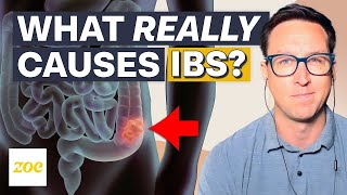 Conquer IBS 3 steps to healthier digestion [upl. by Bartram449]