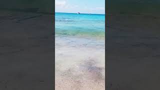 Las Playas 🏖 mas Paradisíacas de Mallorca Spain 🇪🇸 playasdemallorca travel beach short [upl. by Tymes]