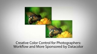 Creative Color Control for Photographers Workflow and More [upl. by Gnel]