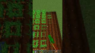 automatic carrot farm in mincrafttrendingminecraftminecraft shortshortviral [upl. by Naehgem]