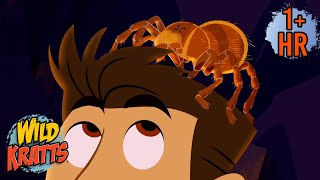 Chris Finds a Goliath Tarantula  Happy Halloween  New Compilation  Wild Kratts [upl. by Labanna]