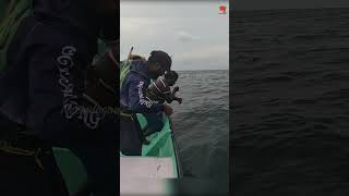 Catching King Fish in the Deep Sea fishing fishingvideo oceanfishing [upl. by Biegel972]