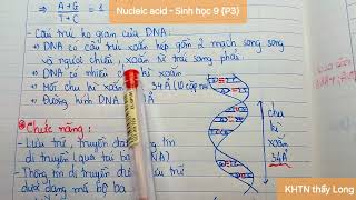 Nucleic acid DNA và RNA  Sinh học 9 P3 [upl. by Hoxsie926]