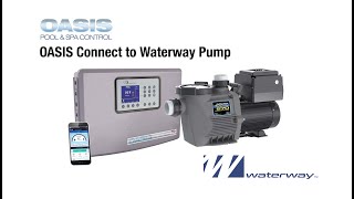 Oasis Connect to Waterway Pump 2024 [upl. by Lalage]