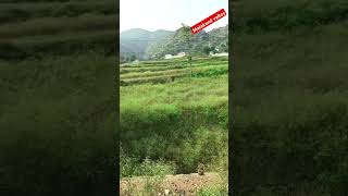 Malakand beautiful valleyfypシ゚viral tourism shortvideo keralatourism [upl. by Arrat751]