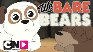 We Bare Bears  Pet Shop  Cartoon Network [upl. by Cinelli]