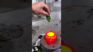 Color changing teapot add some color to your tea time teapots fypシ゚viral diy [upl. by Branen913]