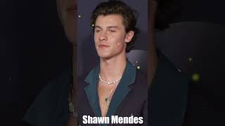 Shawn Mendes  Summer Of Love [upl. by Orford37]