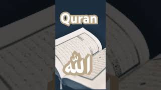 Quran Kareem ki tarjoma very beautiful voice islamevideo [upl. by Kora227]