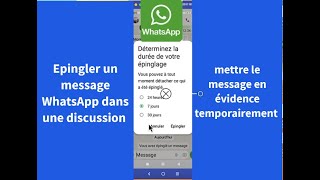 WhatsApp  maintenant vous pouvez épingler  fixer un message dans une discussion [upl. by Maffa]