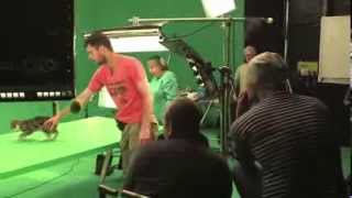 Making of the Feliway Advert behind the scenes and interviews [upl. by Gyimah]