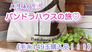 【購入品】人生初！パンドラハウスの旅♡毛糸149玉ぜーんぶ紹介！！！ [upl. by Eikkin39]