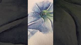 Watercolor Painting The Beauty of Bindweed 🌸 [upl. by Elish]