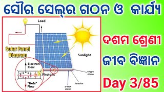 solar cell class10 life science class10 internal assessment 3 life science principle of solar cell [upl. by Mile]