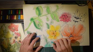 ASMR Drawing the Oxford Book of Garden Plants [upl. by Sergeant999]