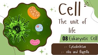 Cytoskeleton  Flagella amp Cilia Cell  the unit of life 08  Class 11th  Biology  NEET [upl. by Lilla]