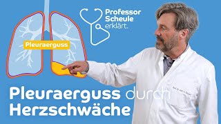 Pleuraerguss durch Herzschwäche  Herzinsuffizienz – Professor Scheule erklärt einfach [upl. by Tab377]