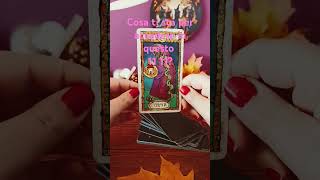 Cosa ti sta per accadere 11 11 tarot energiadelgiorno tarotreading [upl. by Faust]