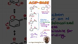 What is MORE basic Aniline vs a simple Amine chemistry organicchemistry [upl. by Barbara-Anne]