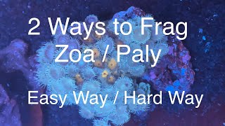 2 Ways to Frag Zoanthids  Palythoas  Zoa  Paly Fragging Saltwater Coral Reef Aquarium [upl. by Hudgens]